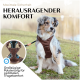 Hund in einem braunen Geschirr im Freien, mit Text: 'Herausragender Komfort' und 'Großzügige Polsterung für optimalen Tragekomfort.'