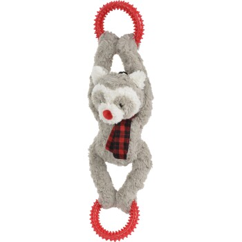 Meilleurs prix pour AniOne raton laveur avec anneaux