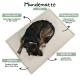 Ein eingerollter Hund ruht auf einer weichen, hellen Haustiermatte auf einem Holzboden, mit einer modernen Holzlattenwand im Hintergrund.
