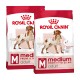 SHN Medium Adult 2x15 kg
