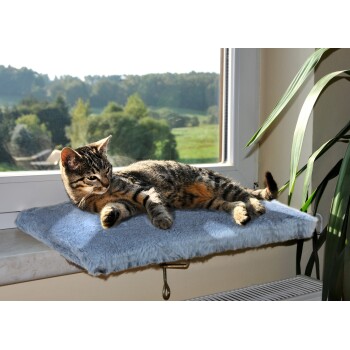 Eine entspannte getigerte Katze, die auf einem weichen blauen Kissen neben einem sonnigen Fenster liegt, mit grünen Bäumen, die draußen sichtbar sind.