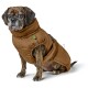 Ein gestromter Hund trägt eine braune, gepolsterte Jacke mit hohem Kragen und sitzt vor einem weißen Hintergrund.