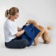 Eine Person in einem weißen T-Shirt und schwarzen Leggings trocknet einen flauschigen goldenen Hund mit einem blauen Handtuch, der auf einem hellen Hintergrund sitzt.