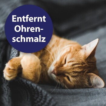 Schlafende orangegetigerte Katze auf einer grauen Decke mit einem blauen Kreis, auf dem 'Entfernt Ohrenschmalz' steht.
