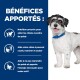Un petit chien avec un collier bleu se tient devant un fond bleu avec un texte sur les bienfaits de la perte de poids chez les chiens, y compris le soutien nutritionnel et énergétique.