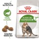 Royal Canin Active Life Outdoor cat food for cats 7+, featuring a Bengal cat image, adapted kibble size, and vitality complex.