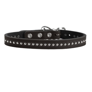 Schwarzes Lederhalsband für Hunde, verziert mit silbernen Nieten und Metallverschlüssen, das ein stilvolles und langlebiges Design zeigt.