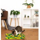 Getigerte Katze schnuppert an einer grün-gelb-grauen Schnüffelmatte auf Holzboden in einem modernen Wohnzimmer mit Pflanzen und Regalen.