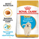 Torba z karmą dla szczeniąt rasy Golden Retriever Royal Canin, z żywieniem dostosowanym do rasy, specjalnie opracowanymi krokietami i ikonami wsparcia układu odpornościowego.
