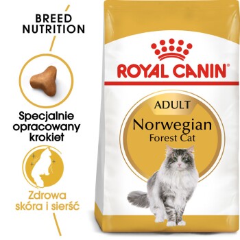 Norwegian Forest Adult 10 kg