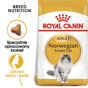 Torba suchej karmy Royal Canin dla dorosłych kotów rasy norweskiej z szarym i białym kotem, z tekstem podkreślającym odżywianie rasy i zdrową skórę.