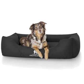 Ein braun-weißer Hund liegt auf einem schwarzen Hundebett, mit dem Logo "KNUFFELWELT" sichtbar auf der Vorderseite.