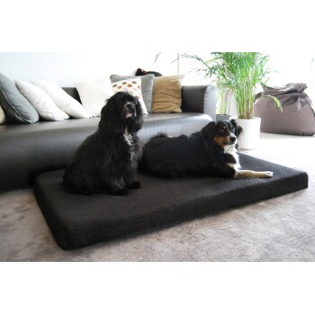 Zwei Hunde, ein schwarzer Cocker Spaniel und ein schwarz-brauner Mischling, sitzen auf einem dunklen Haustierbett in einem gemütlichen Wohnzimmer mit einem Sofa und dekorativen Kissen.