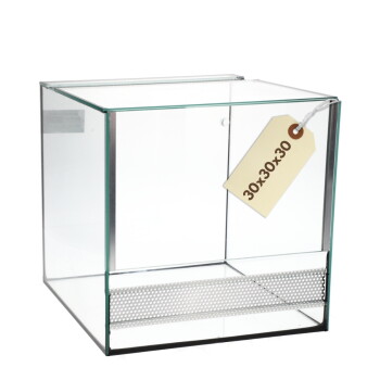 Klares Glaswürfel-Terrarium mit frontaler perforierter Lüftungsleiste und beigefarbenem Anhänger mit der Aufschrift 30x30x30