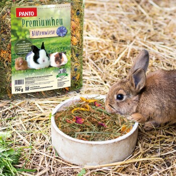 Ein Kaninchen frisst aus einer Schüssel mit bunten getrockneten Blumen und Heu, neben einer Packung Panto Premium Heu mit grünem Etikett.