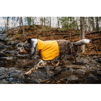 Ein Hund, der einen gelben und braunen wasserdichten Mantel trägt, läuft durch einen felsigen Bach in einem bewaldeten Gebiet und spritzt Wasser herum.