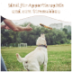 Ein Shiba Inu kaut auf einem Holzstock, der von einer Person gehalten wird, mit Gras im Hintergrund. Der Text hebt Qualitäts- und Sicherheitsmerkmale hervor.