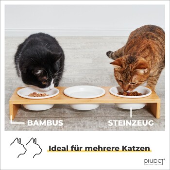 Zwei Katzen, eine schwarz-weiße und eine braune getigerte, fressen von einer Bambusstation mit drei Schalen. Text: "Ideal für mehrere Katzen."