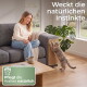 Katze kratzt an einem am Sofa befestigten Pad, während eine Frau lächelt; sichtbarer Text: 'Weckt die natürlichen Instinkte, Pflegt die Krallen natürlich'.