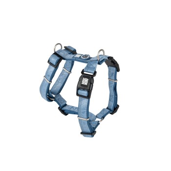 Blau verstellbares Hundegeschirr mit schwarzer Kunststoffschnalle mit der Aufschrift "Max & Molly" und Metall-D-Ringen.