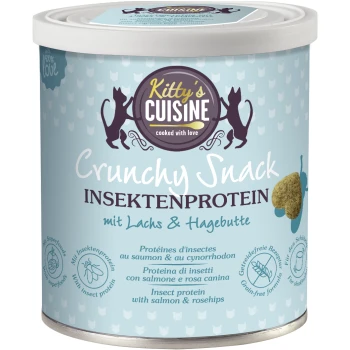 Crunchy Snack insect protein 100g