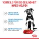 Bild eines Welpen neben einer roten Schüssel mit Royal Canin Hundefutter, mit Text, der Vorteile für die Gesundheit von Welpen auf Deutsch hervorhebt.