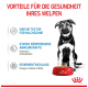 Bild eines Welpen neben einer roten Schüssel mit Royal Canin Hundefutter, mit Text, der Vorteile für die Gesundheit von Welpen auf Deutsch hervorhebt.