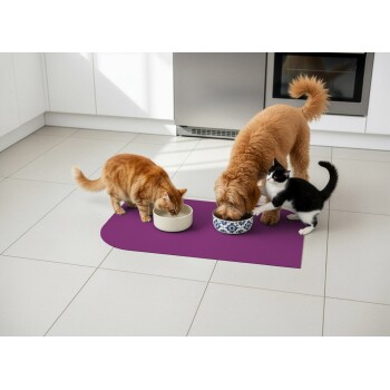 Orange getigerte Katze, goldener Hund und schwarz-weiße Katze fressen aus Schüsseln auf einer lila Matte in einer Küche.