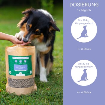 Ein Hund frisst aus der Hand einer Person, neben einer Tüte "Bio Leinsamen Pellets" mit der Aufschrift "Natural Fell & Haut Kraft" und Dosierungsanweisungen.