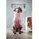 Ein brauner Hund in einem rosa Fleece-Hoodie sitzt auf einem Holzboden und schaut direkt in die Kamera in einem modernen, minimalistischen Raum.