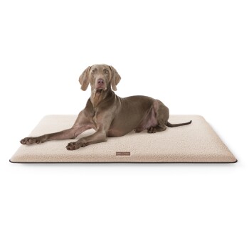 kuschelige Hundematte Calliope aus Teddy Material beige XL