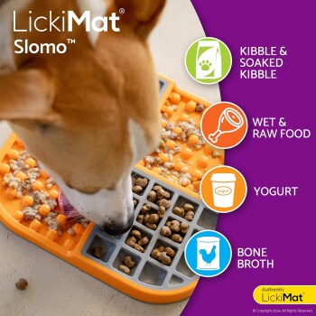 Schleckmatte SloMo Futter-Spaß orange