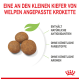 Welpenfutter-Kroketten in verschiedenen Größen, angepasst an kleine Kiefer, mit natürlichen Antioxidantien, ohne künstliche Zusätze.