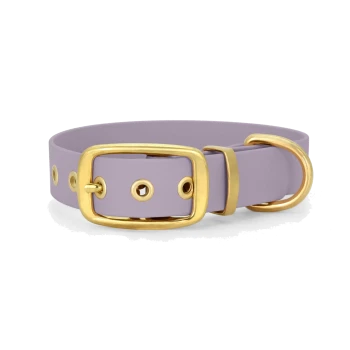 Lavendel-Hundehalsband mit goldener Schnalle und Ösen, auf einem weißen Hintergrund präsentiert.