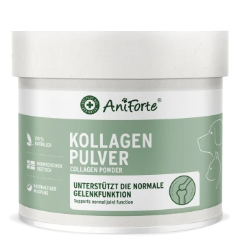 AniForte Kollagenpulverbehälter, beschriftet mit "KOLLAGEN PULVER," unterstützt die normale Gelenkfunktion, hergestellt aus 100% natürlichem norwegischem Meeresfisch.