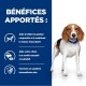 Chien Beagle sur un fond bleu mettant en avant les avantages : brûle les graisses, maintient la masse musculaire, garde les chiens rassasiés et soutient l'immunité.