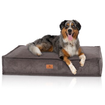 Hundekissen Lesedi aus Cord mit Handwebcharakter braun/ grau XXL
