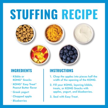 STUFFING RECIPE with five bowls: kibble, peanut butter, yogurt, chopped apple, blueberries; ingredients & instructions