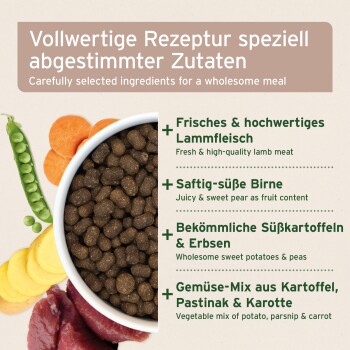 AniForte einzigartiges weiches Haustierfutter, mit runden braunen Kroketten, mit Text, der die Feuchtigkeitsbindung und die getreidefreie Formel hervorhebt.