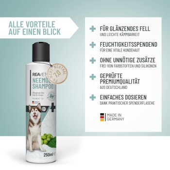 Reavet Neemöl-Shampoo für Hunde, mit einem sibirischen Husky. pH 7.0, feuchtigkeitsspendend, farbstofffrei, silikonfrei, deutsche Premiumqualität.