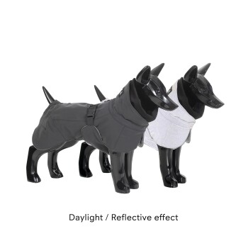 Zwei schwarze Hundemannequins, die stilvolle Hundemäntel tragen, einer in Grau und der andere in Hellgrau, mit dem Text 'Daylight / Reflective effect' darunter.