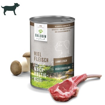 BALDUiN Hund Mix-Paket 2 Pute & Lamm 12x400g