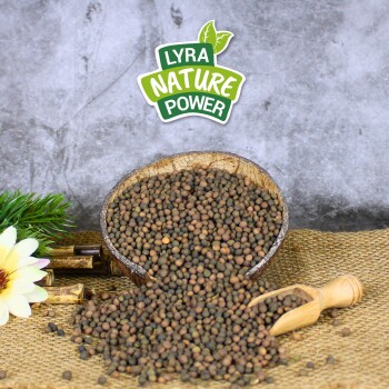 Eine hölzerne Schüssel, die überquillt mit kleinen, runden Haustierfutterpellets, mit einem hölzernen Schaufel daneben. Der Text "LYRA NATURE POWER" wird darüber angezeigt.