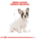 Illustration of a French Bulldog puppy with measurements, labeled "BREED RANGE: FRENCH BULLDOG" in bold red text.