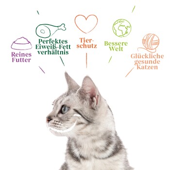 Adult Bio Bröckchen 12x405 g Huhn & Rind