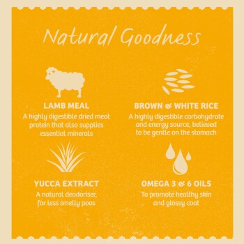 Infographic on Natural Goodness pet food highlighting Lamb Meal, Rice, Yucca Extract, and Omega 3 & 6 Oils with their benefits.