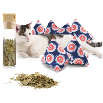 Eine entspannte Katze liegt neben bunten dreieckigen Katzenminze-Spielzeugen und einem Glasbehälter mit getrockneten Kräutern, mit verstreuten losen Kräutern auf dem Boden.