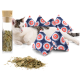 Eine entspannte Katze liegt neben bunten dreieckigen Katzenminze-Spielzeugen und einem Glasbehälter mit getrockneten Kräutern, mit verstreuten losen Kräutern auf dem Boden.