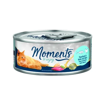 Boîte de nourriture pour chat avec un chat orange détendu, étiquetée "Moments à savourer," avec des saveurs de thon et de poulet avec du fromage.