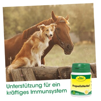 cdVet PropolisHerbal 20 g